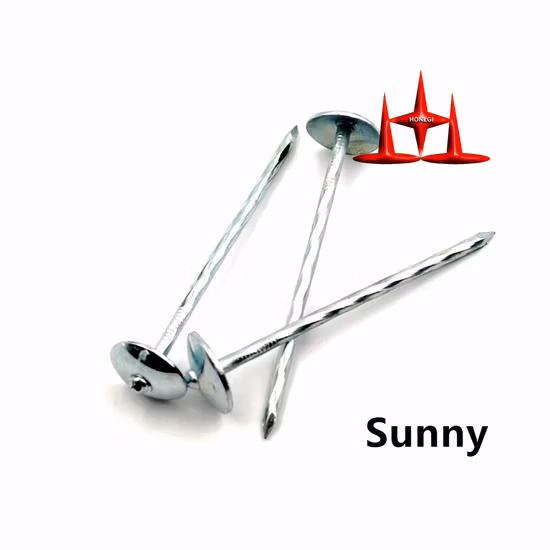 2-1/2" Galvanized Umbrella Head Roofing Nail with Rubber Washer