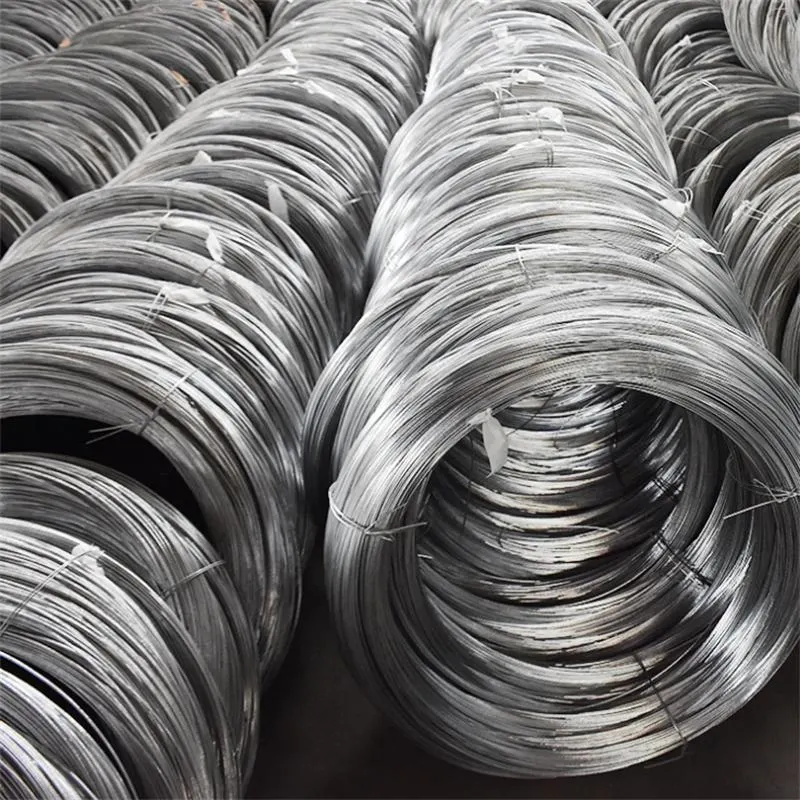 Hot Dipped Galvanized Steel Wire 12/ 16/ 18 Gauge Electro Galvanized Gi Iron Binding Wire