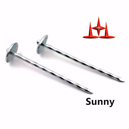 2-1/2" Galvanized Umbrella Head Roofing Nail with Rubber Washer
