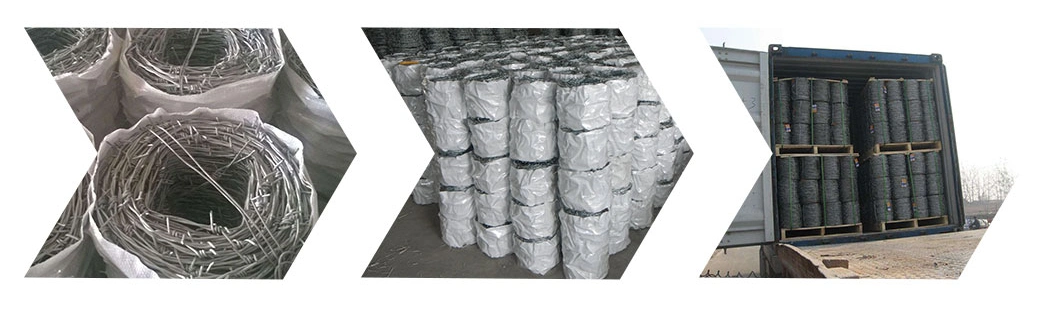 Hooked Mesh Barbedelectric Galvanized Barbed Wire with ISO for Secure The Top of The Walls