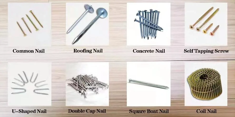 Polished Common Iron Wire Nails Production Wire Nails Manufacture in China