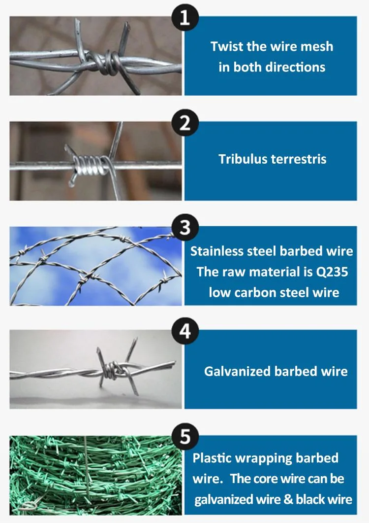 Wholesale Factory Hot DIP Galvanized Barbed Security Wire Barrier Wall Fence Barbed Wire