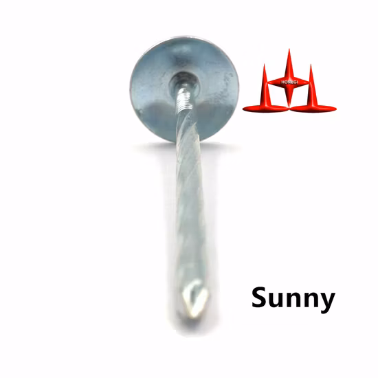 2-1/2" Galvanized Umbrella Head Roofing Nail with Rubber Washer