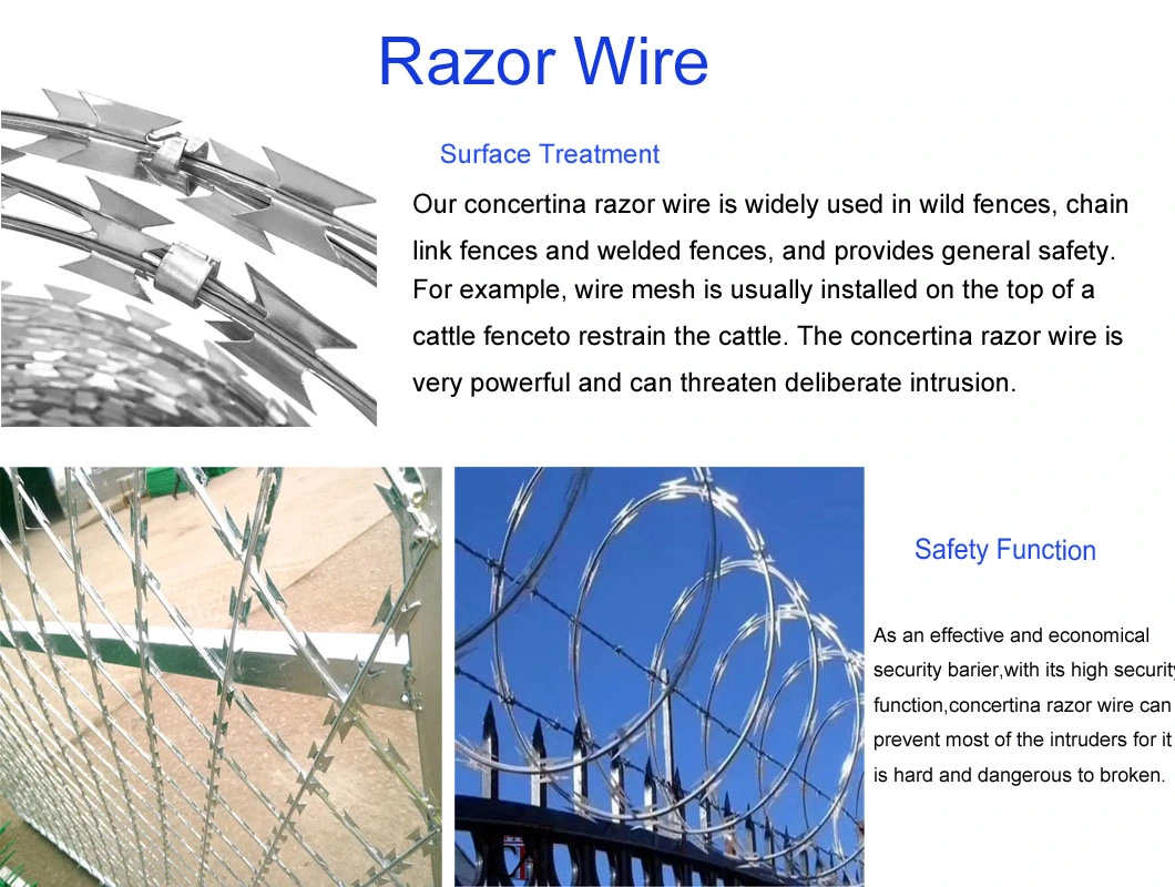 PVC Coated Stainless Steel Galvanized Razor Wire Concertina Razor Wire