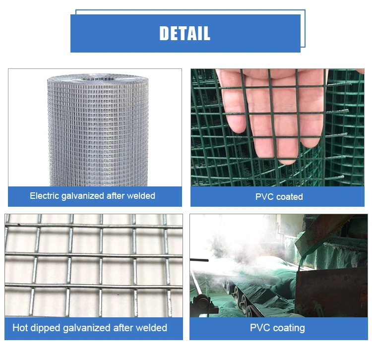 High Quality Galvanized Welded Wire Mesh Supplier