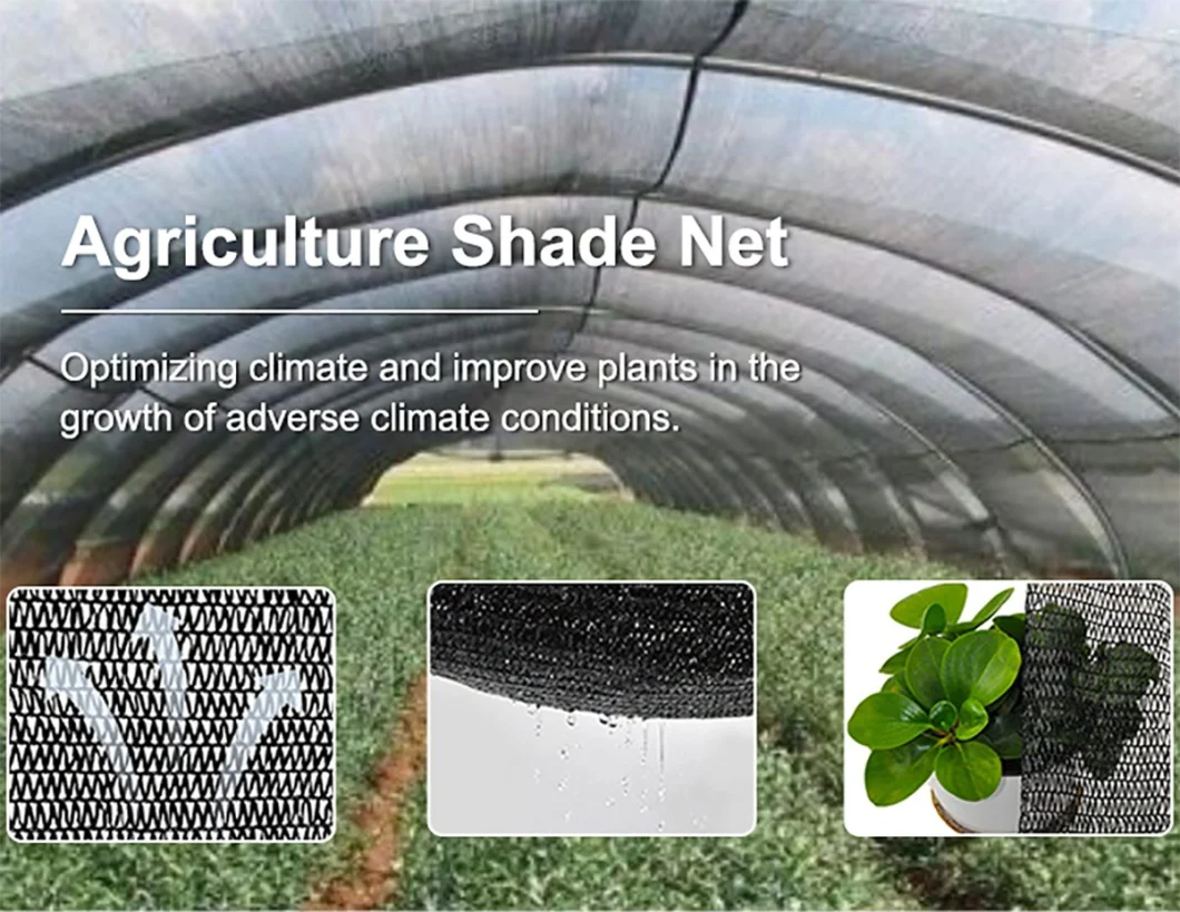 HDPE Green Plastic Garden/Agriculture/Agricultural/Agro/Agri/Greenhouse Sun Shade Net