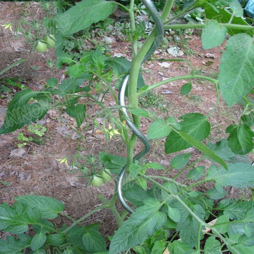 PVC Coated Tomato Growing Spiral Stake Plant Growing Support Wire