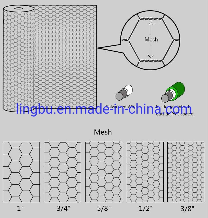 Hot Dipped Galvanized Poultry Chicken Wire Mesh with Hexagonal Wire Netting