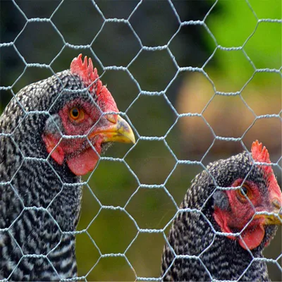 Rede de arame de galinha malha galvanizada malha de arame hexagonal