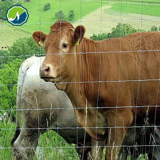 Cerca de fazenda galvanizada por imersão a quente jardim/veado/campo/animal/cavalo/cerca malha de arame