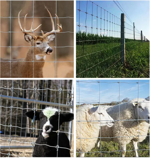 Cerca de fazenda de alta qualidade para cerca de gado Cerca de campo galvanizada por imersão a quente